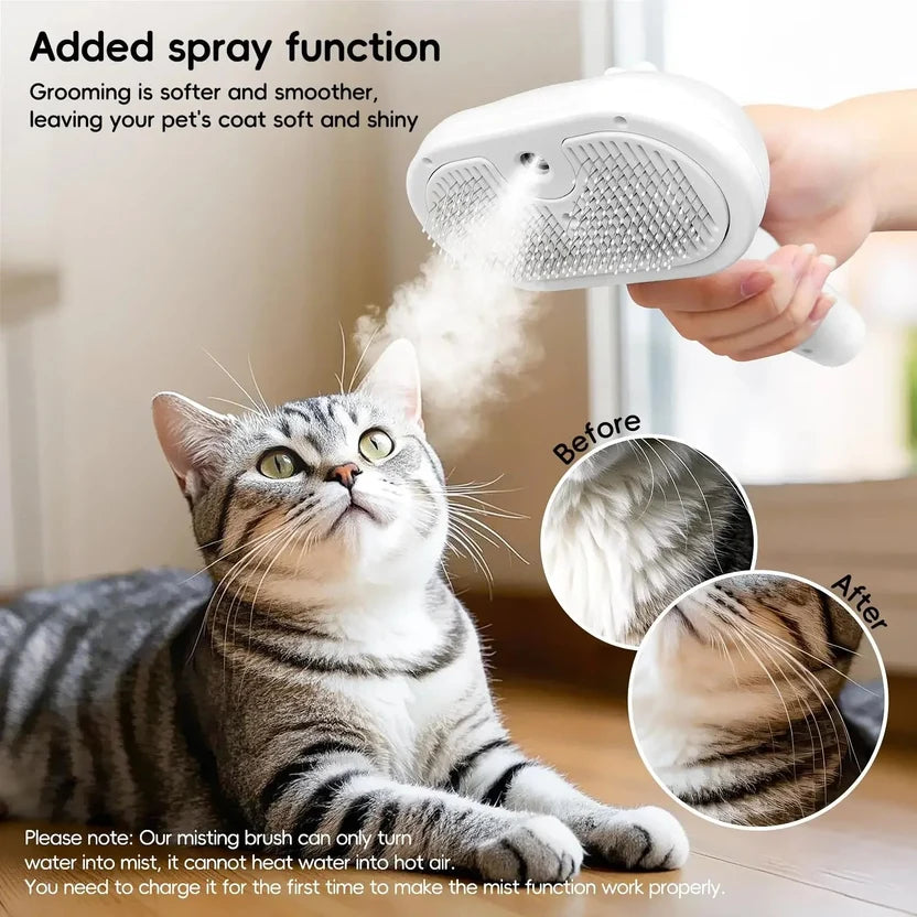 Steam Brush by F&C ( 30% Off )