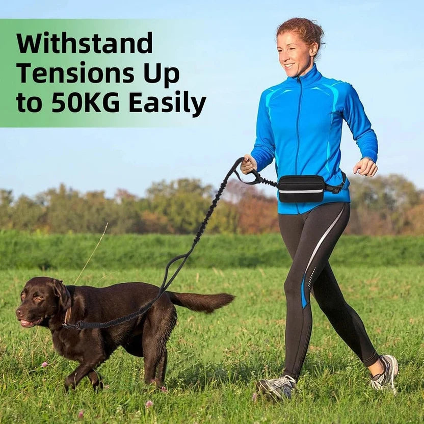 Hands Free Dog Leash with Zipper Pouch, Large, 25-120 lbs ( 30% Off )